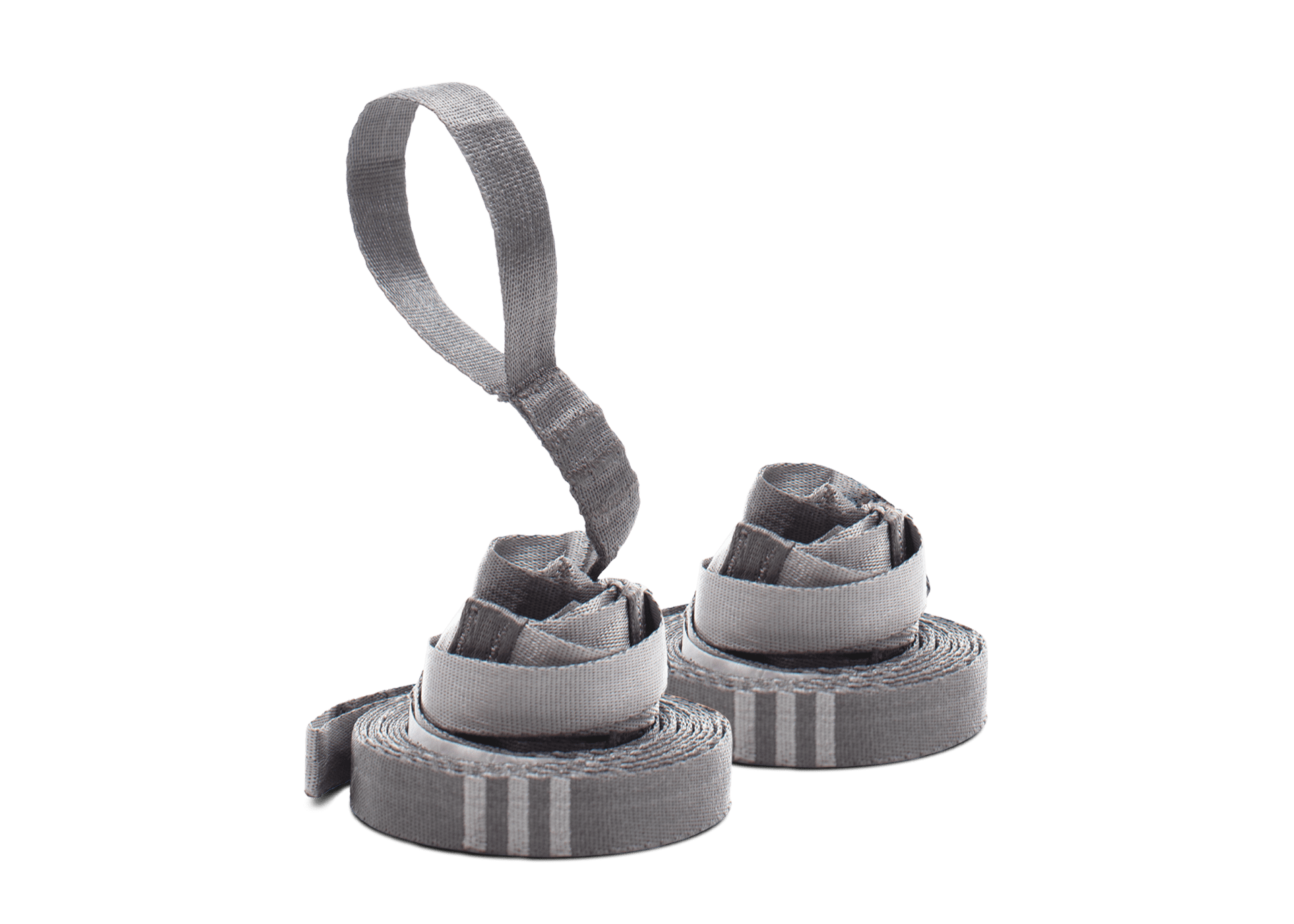 Python10UL-Coiled2.png